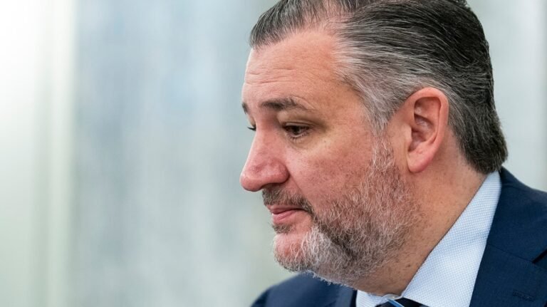 Cruz calls Ocasio-Cortez 'parasite sucking on the taxpayer' over billionaire remarks