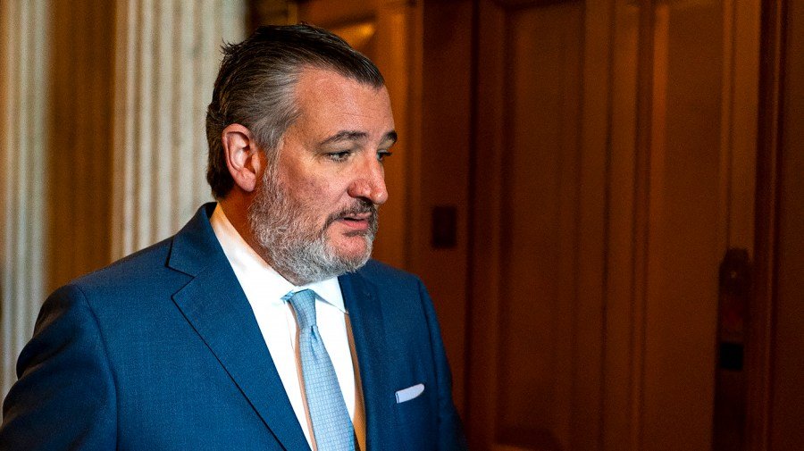 Cruz on Blanche's Senate GOP meeting: 'Fireworks at an epic level'