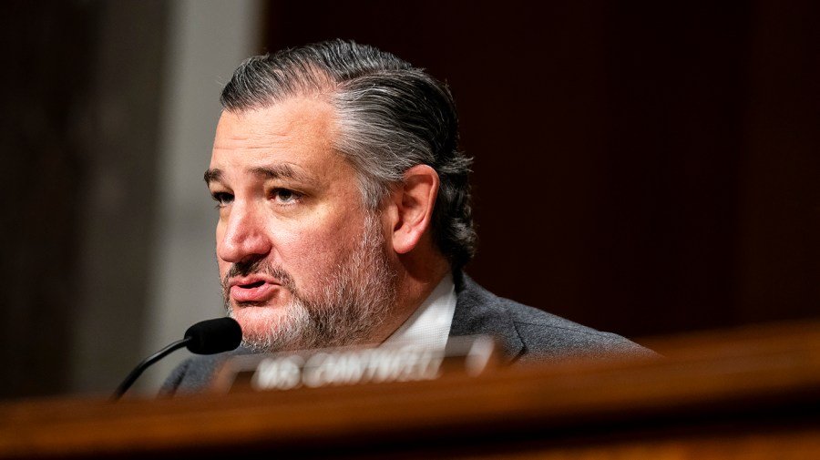Cruz says Trump accounts offer path to Social Security privatization