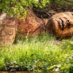 Gaia Sleeps Amid Sarah Eberle’s Award-Winning Garden at the RHS Chelsea Flower Show