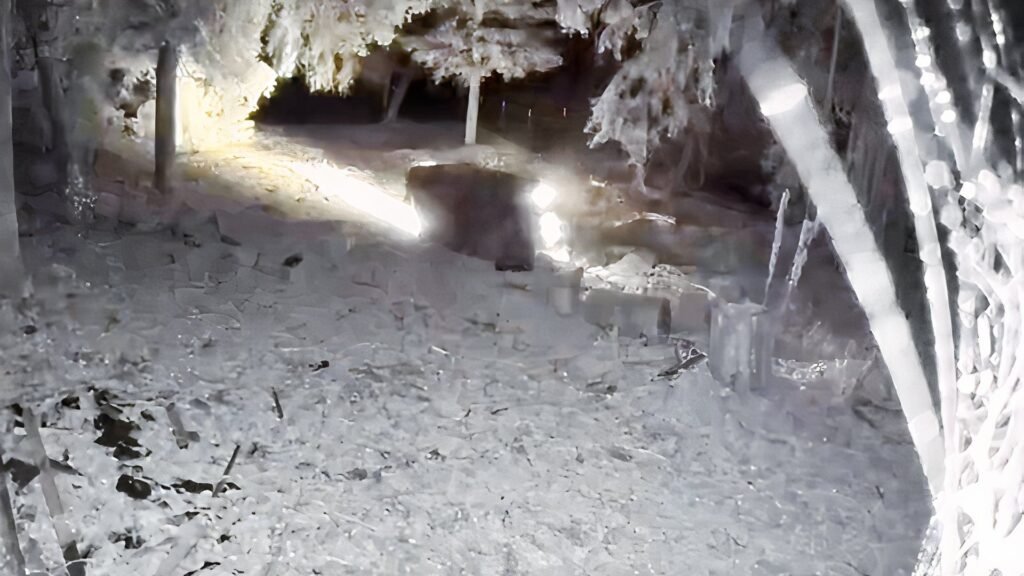 Watch This Honda Fit Crash Out, Roll Twice, And Drive Away Like It's Nothing