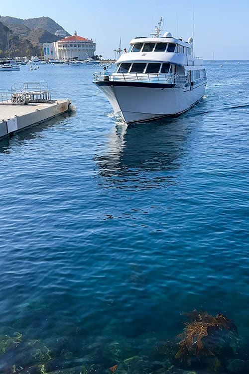 The Complete Catalina Island Travel Guide: Plan Your Perfect Trip