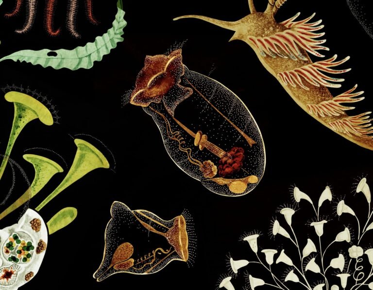 Vibrant Victorian-Era Transparencies Illuminate a Host of Microscopic Creatures