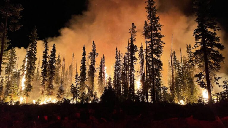 Most of the U.S. West Will Face Above-Normal Wildfire Risk This Summer