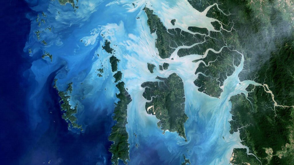 Have We Been Focusing on the Wrong Ocean Pollutants? This Study Maps What We’ve Been Missing