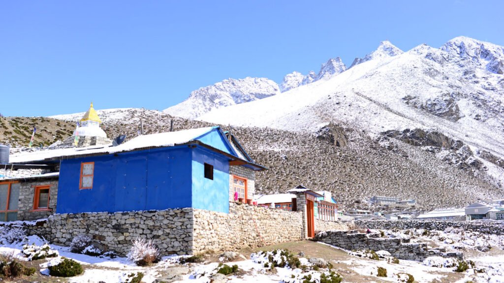 Vegetation Moves Upslope Across the Himalayas