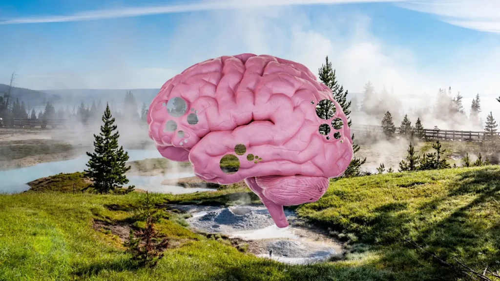 A study just found brain-eating amoeba in 2 popular U.S. national parks. Here’s what you need to know