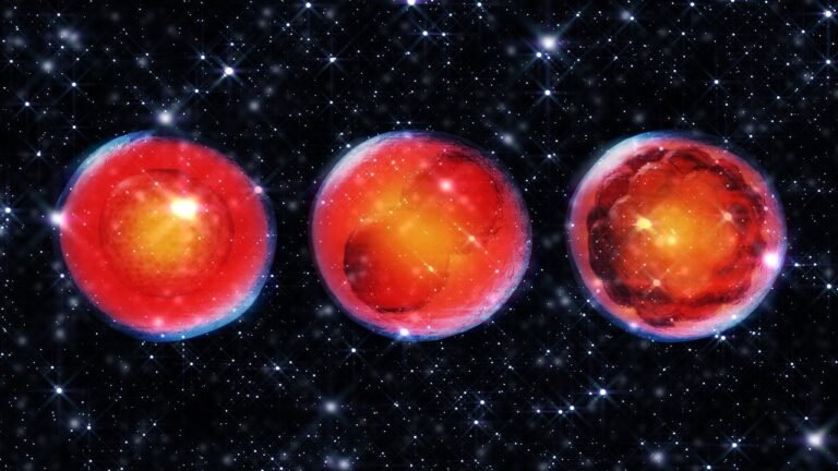 China is researching whether we can have babies in space