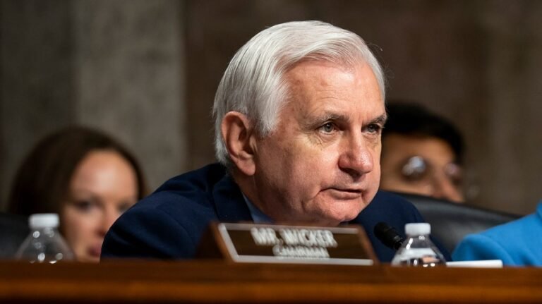 Top Democrat: Trump 'Project Freedom' pause another example of 'strategic incoherence'