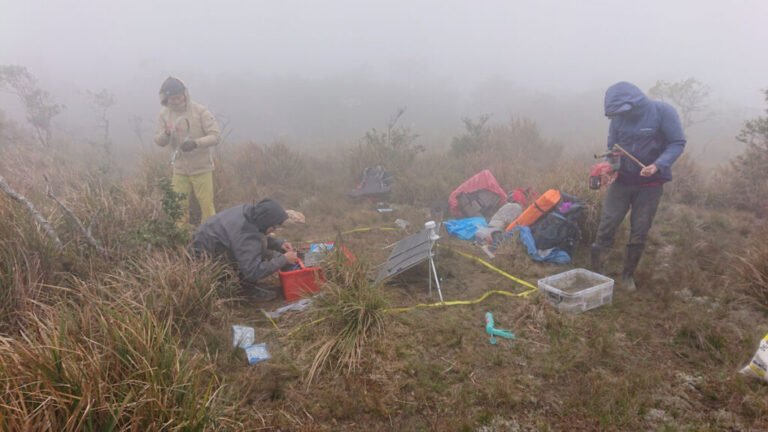 Seismic Attenuation Techniques Reveal What Lies Beneath Taiwan