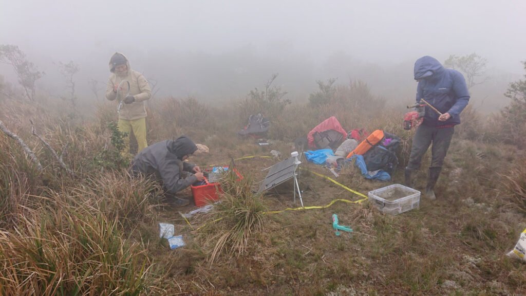 Seismic Attenuation Techniques Reveal What Lies Beneath Taiwan