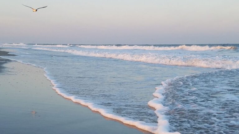 The Global Impact of Losing U.S. Sea Level Science