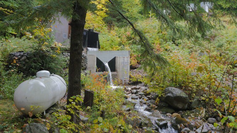The Governance Gap Threatening Long-Term Ecological Archives