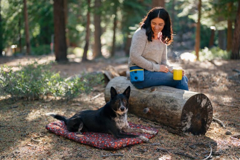 Summer Pet Essentials for Longer Days, Outdoor Adventures, and Endless Playtime