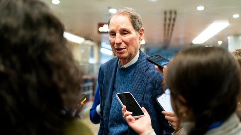 Democrats set sights on Medicare home care