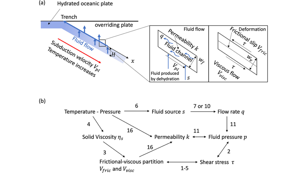 How Dehydration-Driven Fluid Pressure Shapes Megathrust Slip Modes