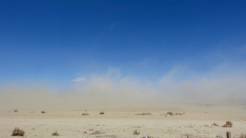 Seeing Earth’s Most Common Minerals from Space