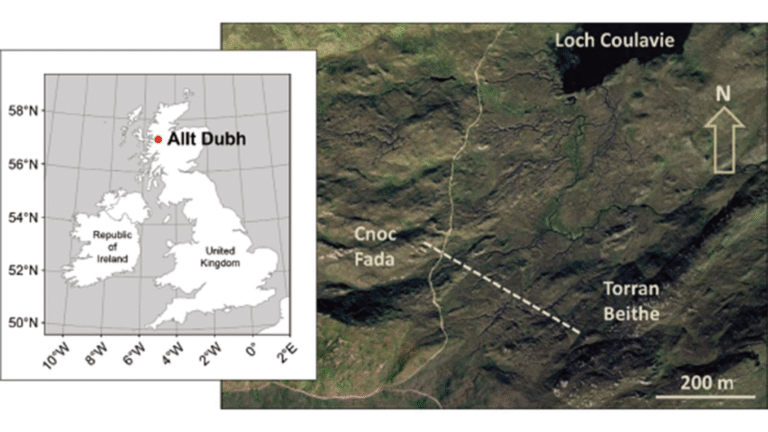 Model of Complex Blanket Bog Improves Prediction of Peat Expansion