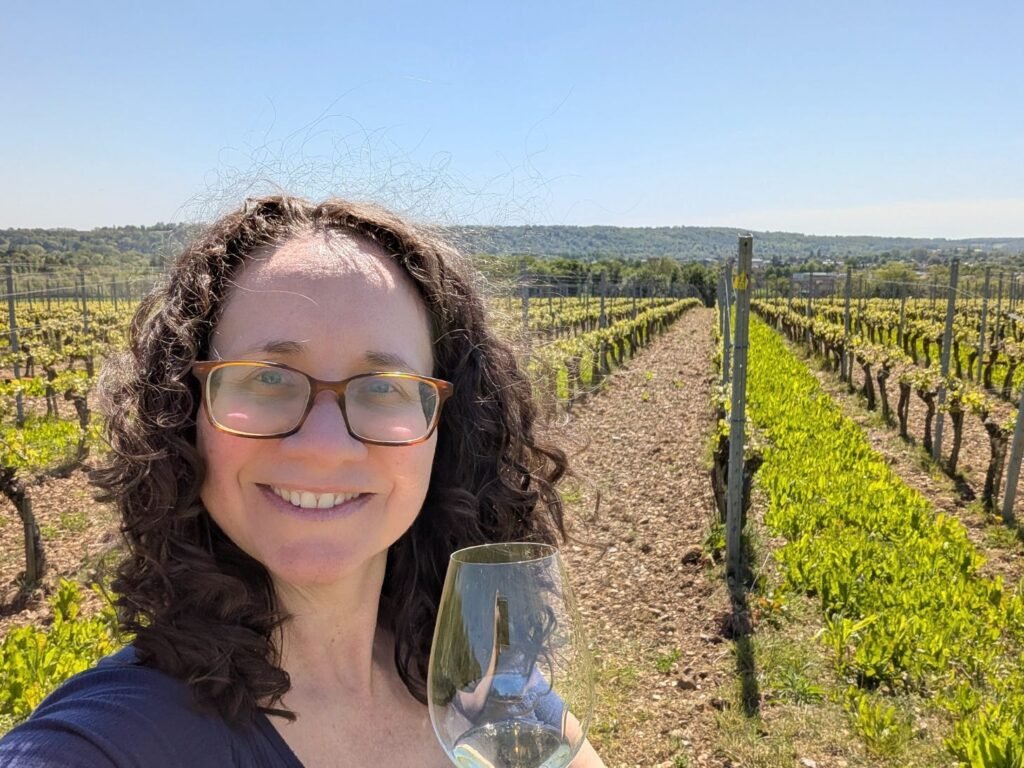 I'm a certified sommelier. These 4 underrated European wine regions belong on your travel bucket list.