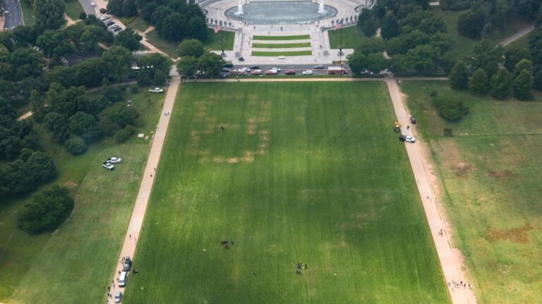 Massive '86 47' appears on National Mall days before Trump's birthday UFC match