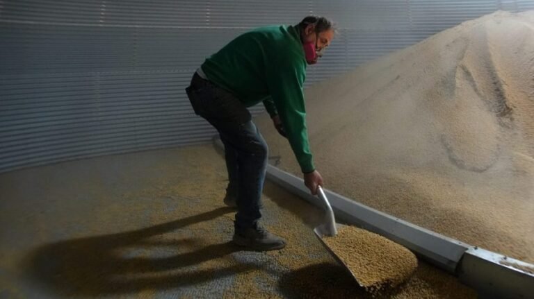 Midwest farmers' struggles test GOP loyalty ahead of midterms
