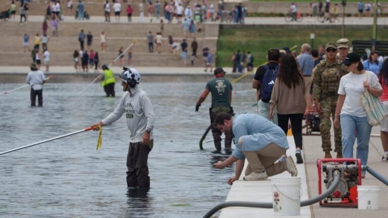 National Guard, Park Police patrolling Reflecting Pool