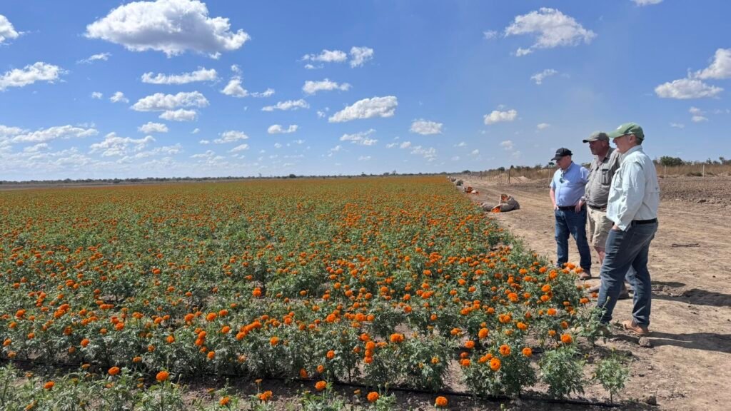 Why smarter water management is critical for farmer returns