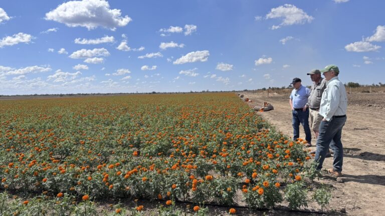Why smarter water management is critical for farmer returns