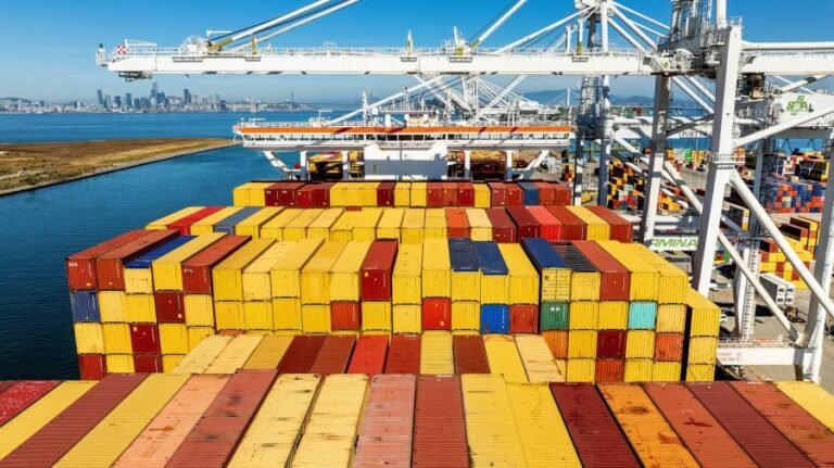 Appeals court halts Customs chief's testimony on tariff refunds