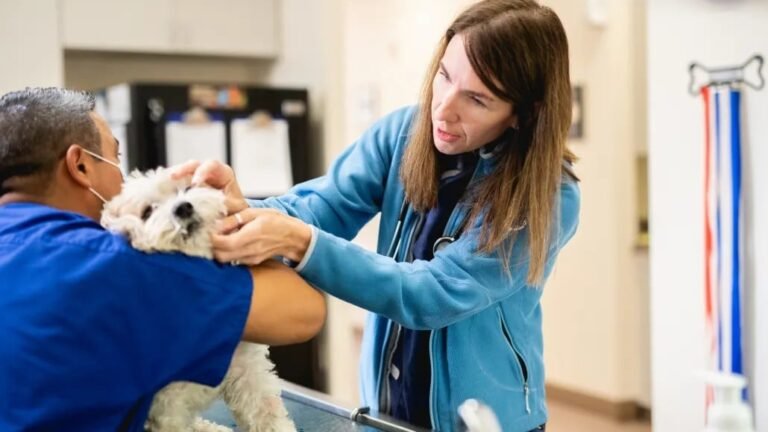 FCPT Snags Mission Pet Health Portfolio Across 31 States