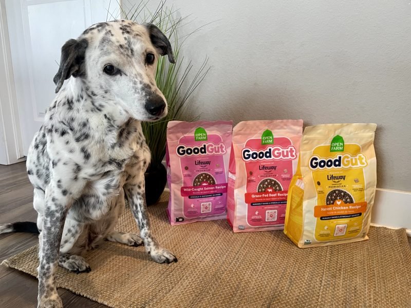 Open Farm GoodGut Dog Food Review 2026: Pros, Cons & Final Verdict
