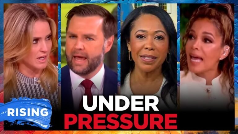 JD Vance pressed on 'The View' over Trump immigration policies 