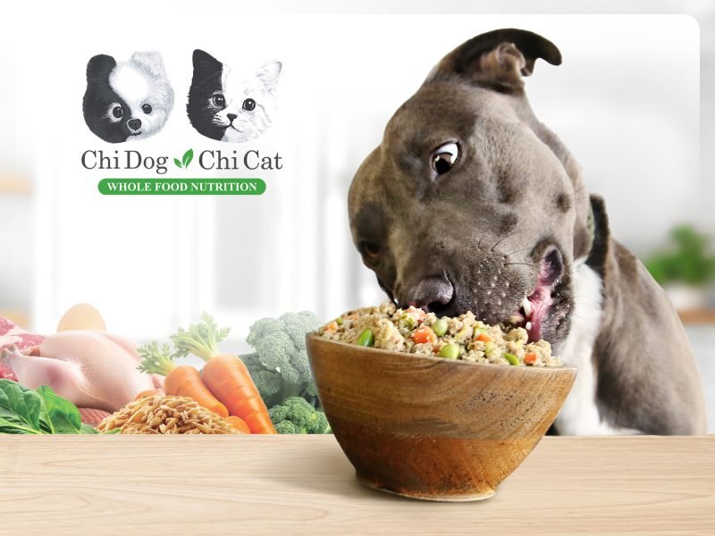 Why I Created Chi Dog: Whole Food Nutrition That Supports Dogs From the Inside Out