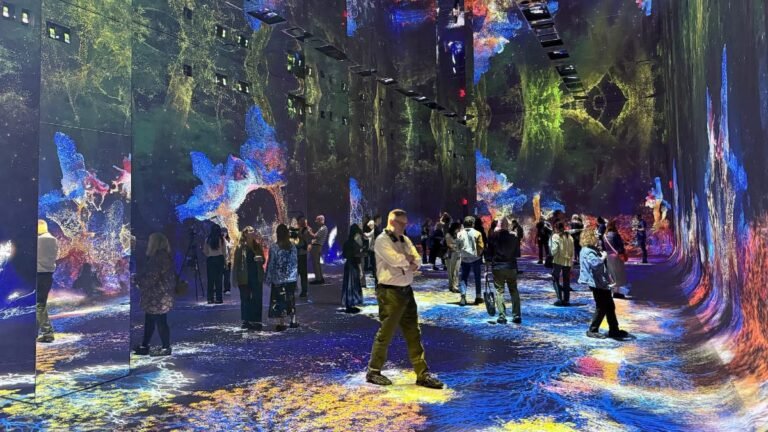 Who Asked for an AI Art Museum?