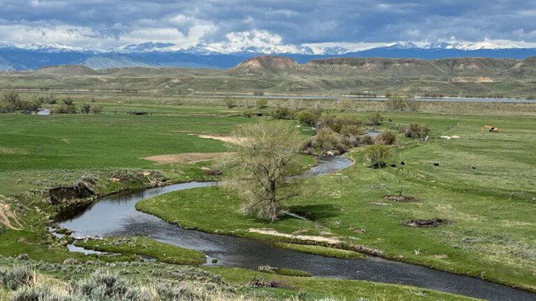 Archetypes Could Accelerate Agricultural Adaptation to Less Snowpack