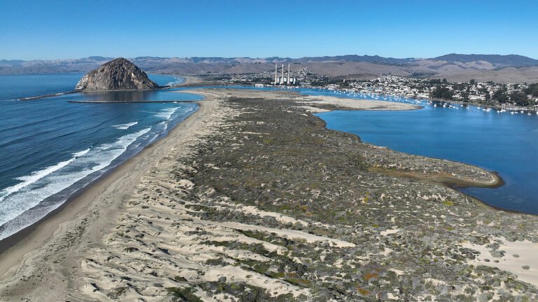 Extensive Sand Dune Loss Threatens California Coast