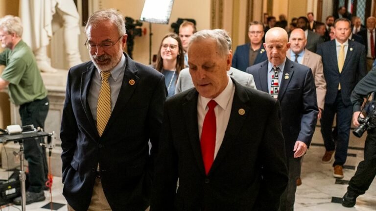 House conservatives mount push to codify Trump border policies