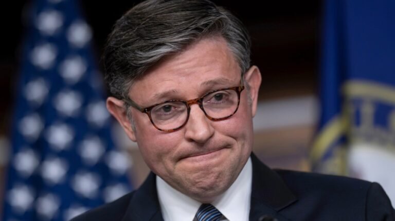 Johnson: Democrats 'playing politics' with FISA over Pulte appointment 
