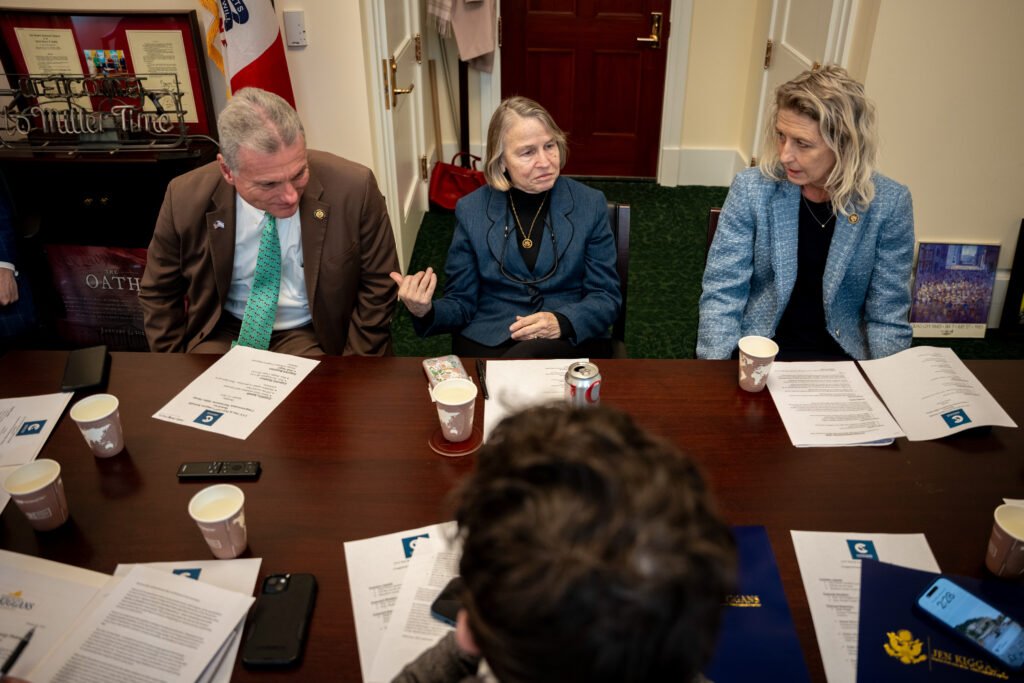 More women, Democratic veterans running for Congress this year