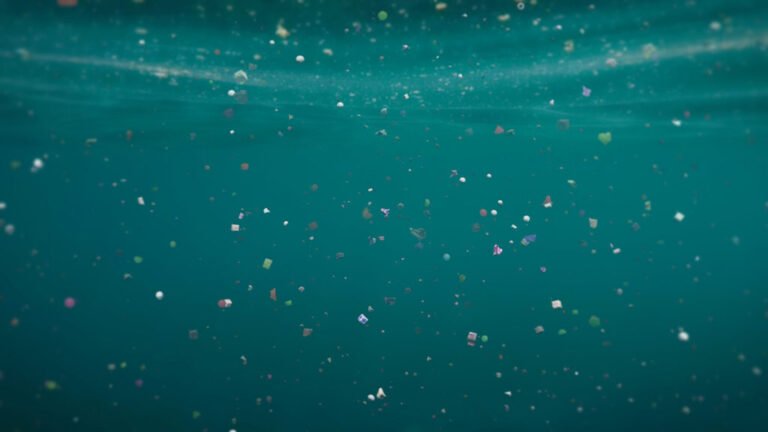 Measuring Microplastics in Every Ocean Layer