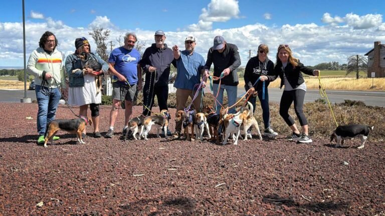 16 Dogs, 13 Volunteers, 4 EVs, and a 1,811-Mile Rescue Mission
