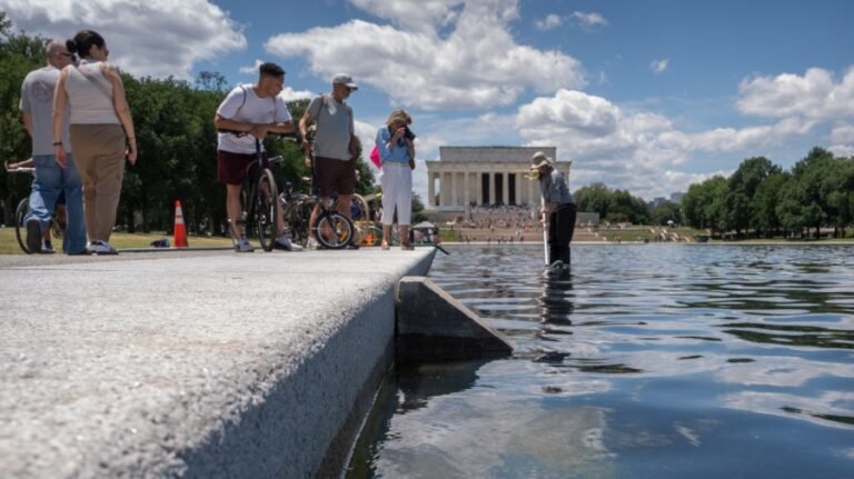 Trump's Lincoln Memorial Reflecting Pool work comes under scrutiny: 4 things to know