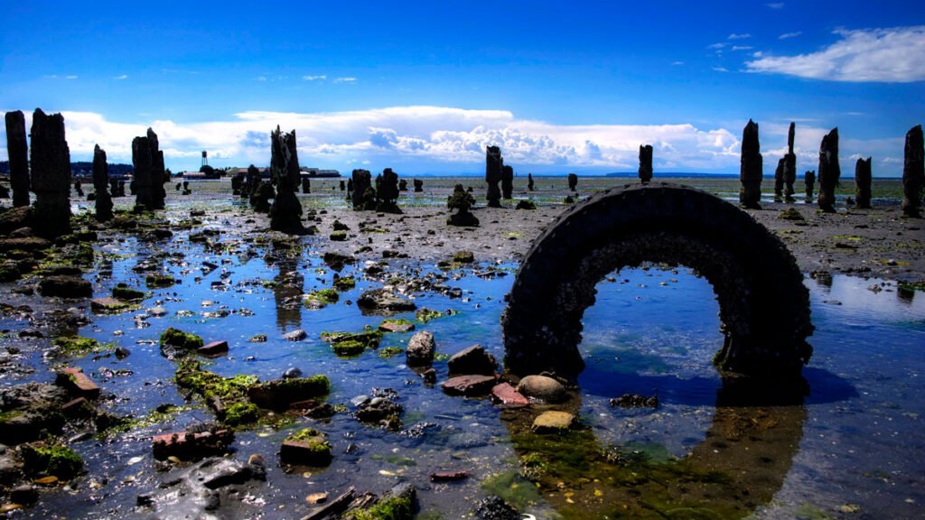 What Tires Leave Behind Can Become Toxic Fish Food