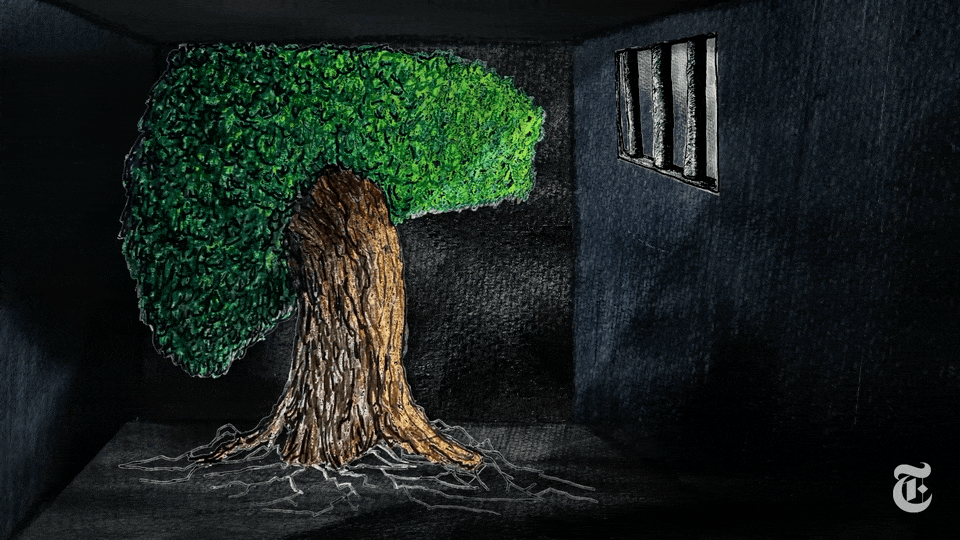 A Poetic Short Film Animates the Counterproductive Forces of Incarceration