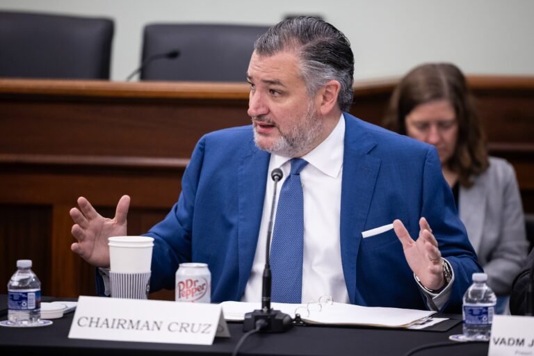 ‘Trying to read the tea leaves’: Ted Cruz offers few clues on his AI agenda