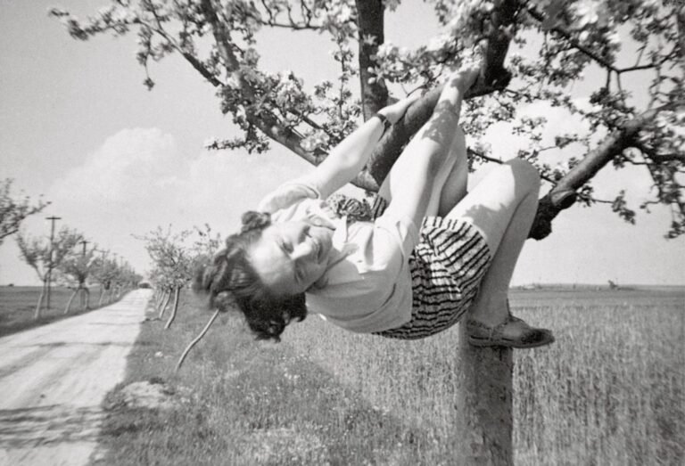 ‘Women in Trees’ Celebrates a Quirky Collection of Anonymous Snapshots