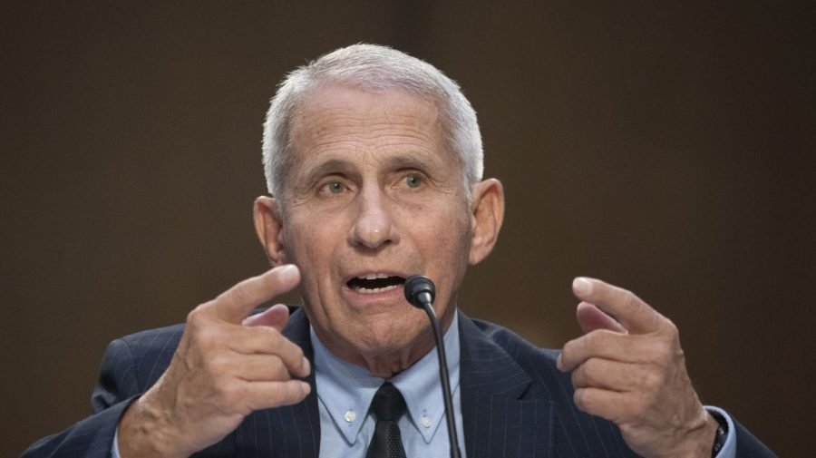 Paul releases Fauci's diary entries ahead of hearing