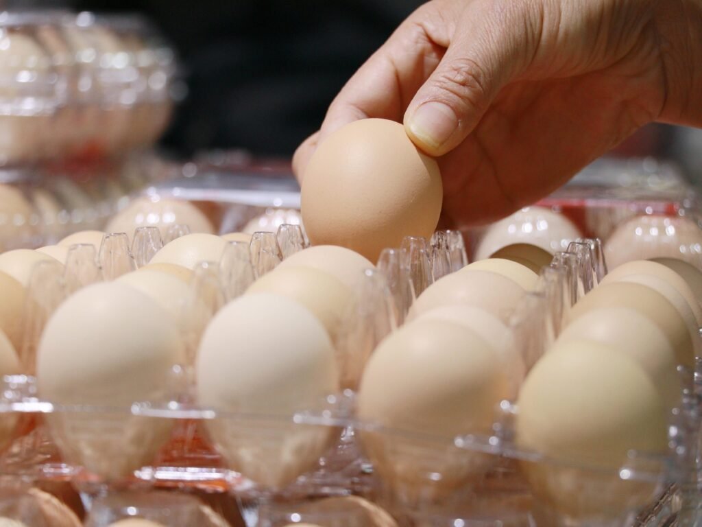 We were gaslit by Big Egg about egg prices (allegedly)