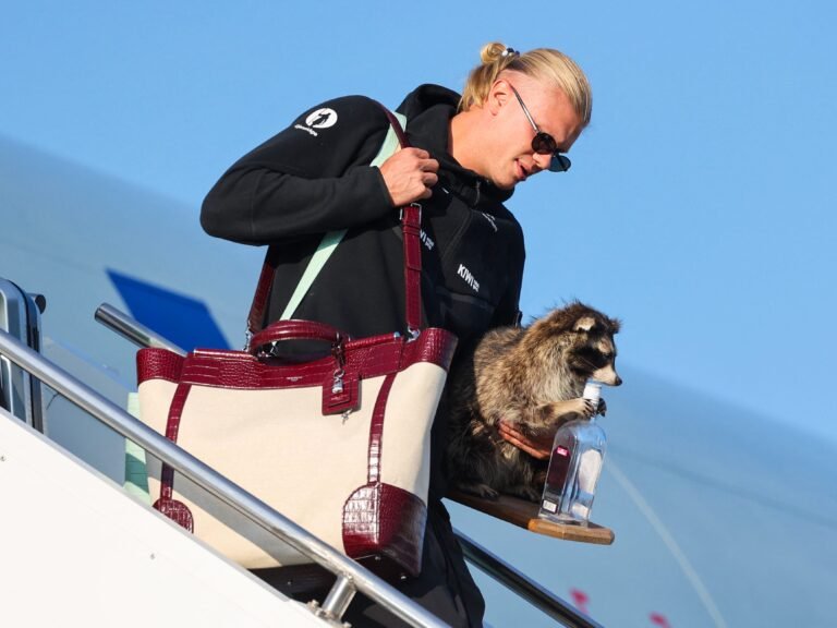 Norway's Erling Haaland brought a $750 taxidermy raccoon home from the World Cup