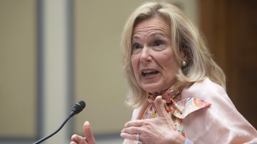 Birx says 'persistent anger' over COVID response evident after Fauci hearing